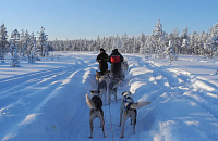 Финляндия задумалась об открытии границ для российских туристов