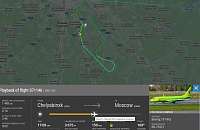 Лиса не дала рейсу из Челябинска приземлиться в Домодедово
