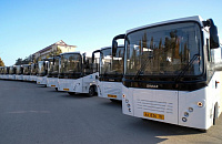 Крымские турфирмы запускают чартерные автобусы на полуостров