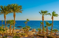 Весенние цены к 8 марта на отдых в Египте!