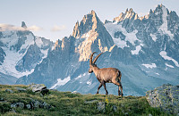 Французские Альпы: горнолыжный отдых и охрана природы в одном FLOCONe