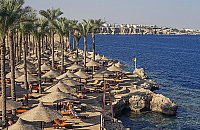 «Безлимитные» чартеры в Египет и ОАЭ позволят снизить стоимость туров