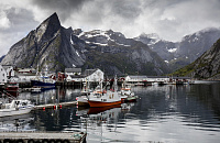 Норвегия открыта: что с визами и сколько стоят авиабилеты?