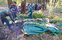 Ураган в Марий Эл: палаточный лагерь завалило деревьями – погибли восемь туристов