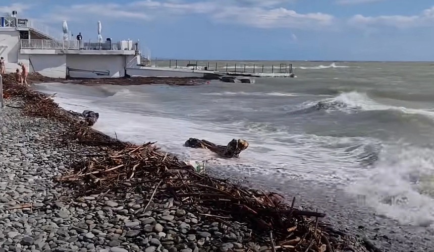Море сочи сейчас