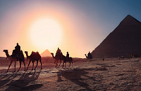 На курорты Египта летом появятся новые рейсы